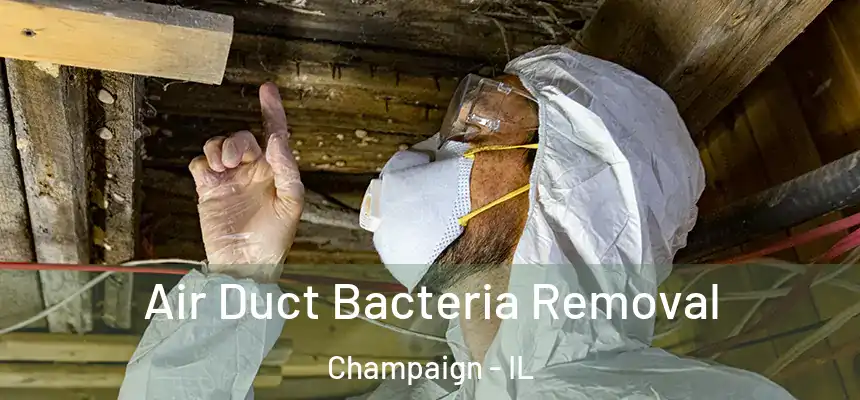  Air Duct Bacteria Removal Champaign - IL