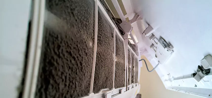 Preventive Air Duct Bacteria Removal in Champaign