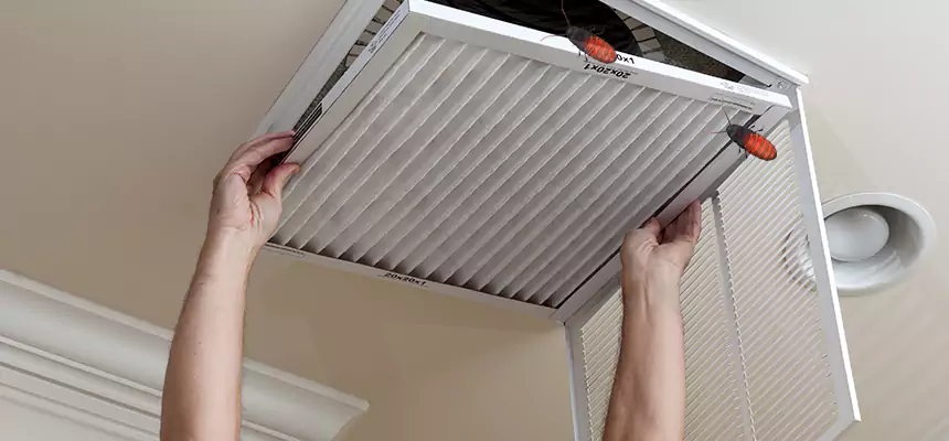 Preventive Cockroach-Proofing for Ducts in Champaign
