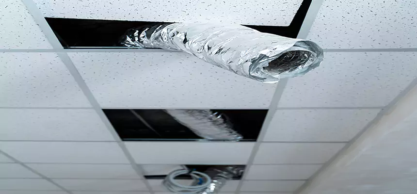 Affordable HVAC Sanitizing After Pest Removal in Champaign