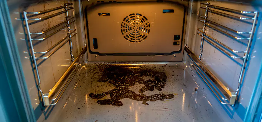 Our Dryer Vent Mold Cleaning Services in Champaign, IL