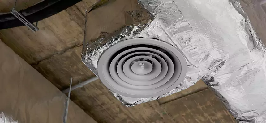 Our Excess Lint Removal from Dryer Ducts Services in Champaign, IL