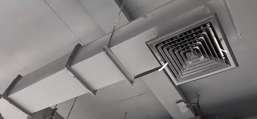 Our Pest Removal From Ducts Services in Champaign, IL