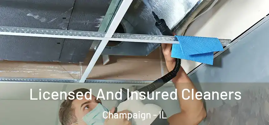 Licensed And Insured Cleaners Champaign - IL