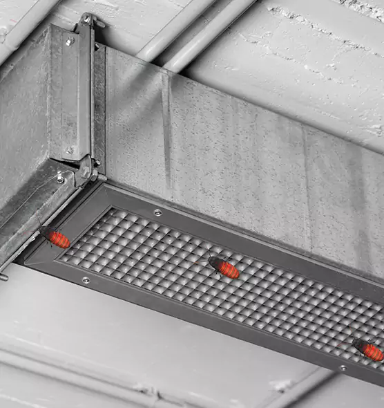 About Air Duct Cockroach Removal in Champaign, IL