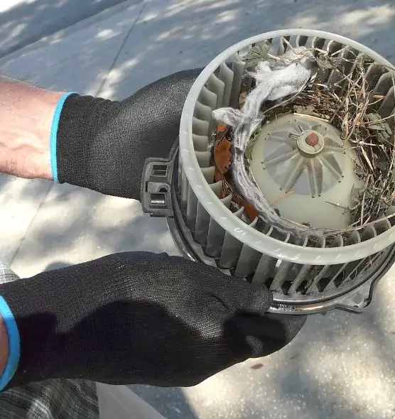 About Air Duct Mice Removal in Champaign, IL