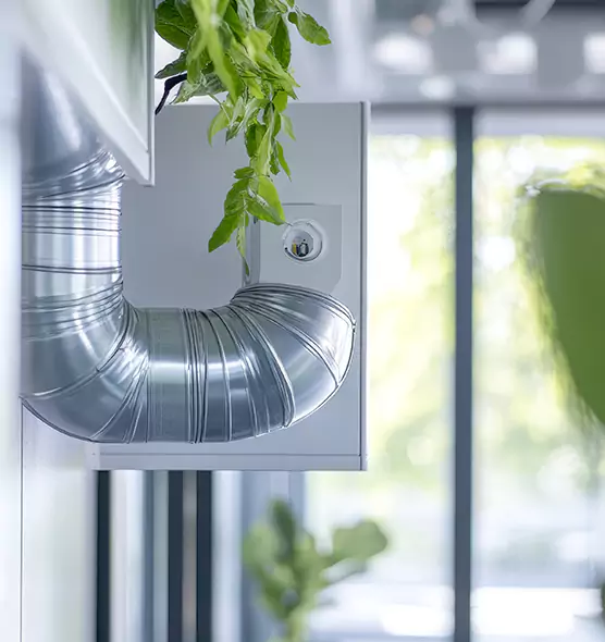 Professional Eco-Friendly Duct Cleaning Services in Champaign, IL