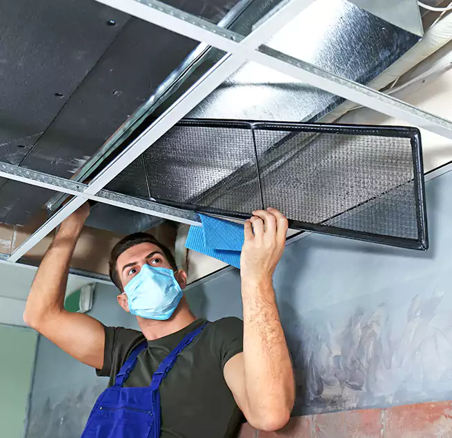 Why Homeowners Businesses Trust Us in Champaign, IL