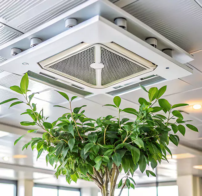 Why Homeowners & Businesses Trust Us in Champaign, IL